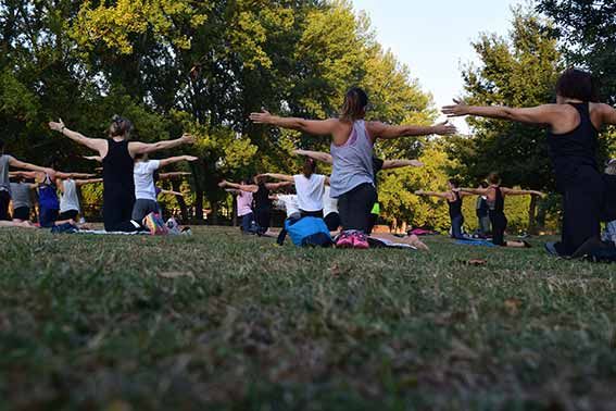 Terminologia nel Pilates